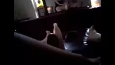 再生 熟女パスジョブ