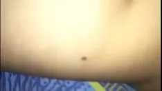 Jouer Mon agneau valentine