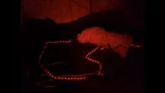تشغيل مثير الأحمر asmr