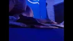 Играть суданская пара