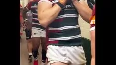 Abspielen Leicester Tigers Rugger-Konferenz