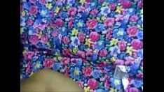 চালান ভারতীয় গরম প্রতিবেশী