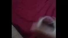 Reproduzir Acaringo muy rico