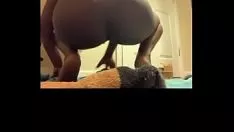চালান ঘোড়ার পিঠে চড়া একটি শক্ত গামশু