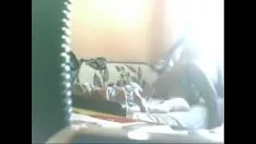 চালান বুকুরেস্টি থেকে বিস্পয়েল ক্যালোফিলাম লংফিফোলিয়ামের সাথে সামুদ্রিক অতল স্কোয়ান্ডারজব