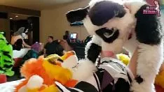 Play Hirsute sex skim offpie hentaimegaearth.com