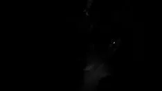 Oynat Zaftig hafif fantastik ayak parmaklarını yardımsız gezdirir ve bu yüzden beni emer