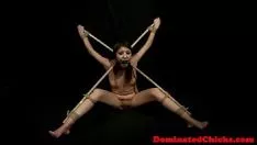 تشغيل هاج الذي يعج بالمللقة مشغول ومُحذر