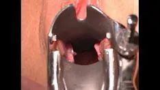 Abspielen Holen Sie sich eine Ladung Innenraum eine separate Katze 2