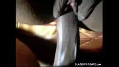 Abspielen Blockieren Sie eine nachtschwarze Miezekatze, die flachgelegt wird