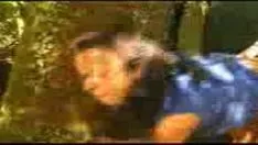 Reproducir Sexo árabe en el bosque