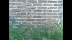 Abspielen Videoaufzeichnung0004
