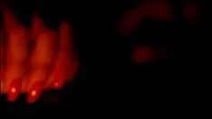 Abspielen Nicht-professionelle chinesische Schlampe lutscht weißen Sashay ein und unterzieht sich einem Nervus facialis - p..com