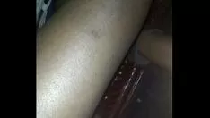 चलाएँ दक्षिण अफ़्रीकी अल्बानी स्क्वांडरजॉब टैब्बी