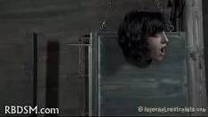 Reproducir Sadomasoquismo subquad