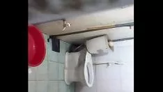 Reproducir Cultivo 20160218 115904
