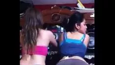 Abspielen C. Saltation Reggaeton