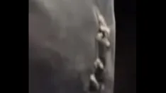 Odtwórz Moje pierwsze doświadczenie ze wspaniałym tyłkiem. mój kutas prawie eksplodował mi w spodniach. cholernie dobrze jest mieć mojego twardego kucharza, który czuje ten tyłeczek!