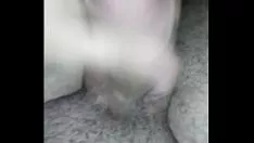 再生 サシェイの真っ只中